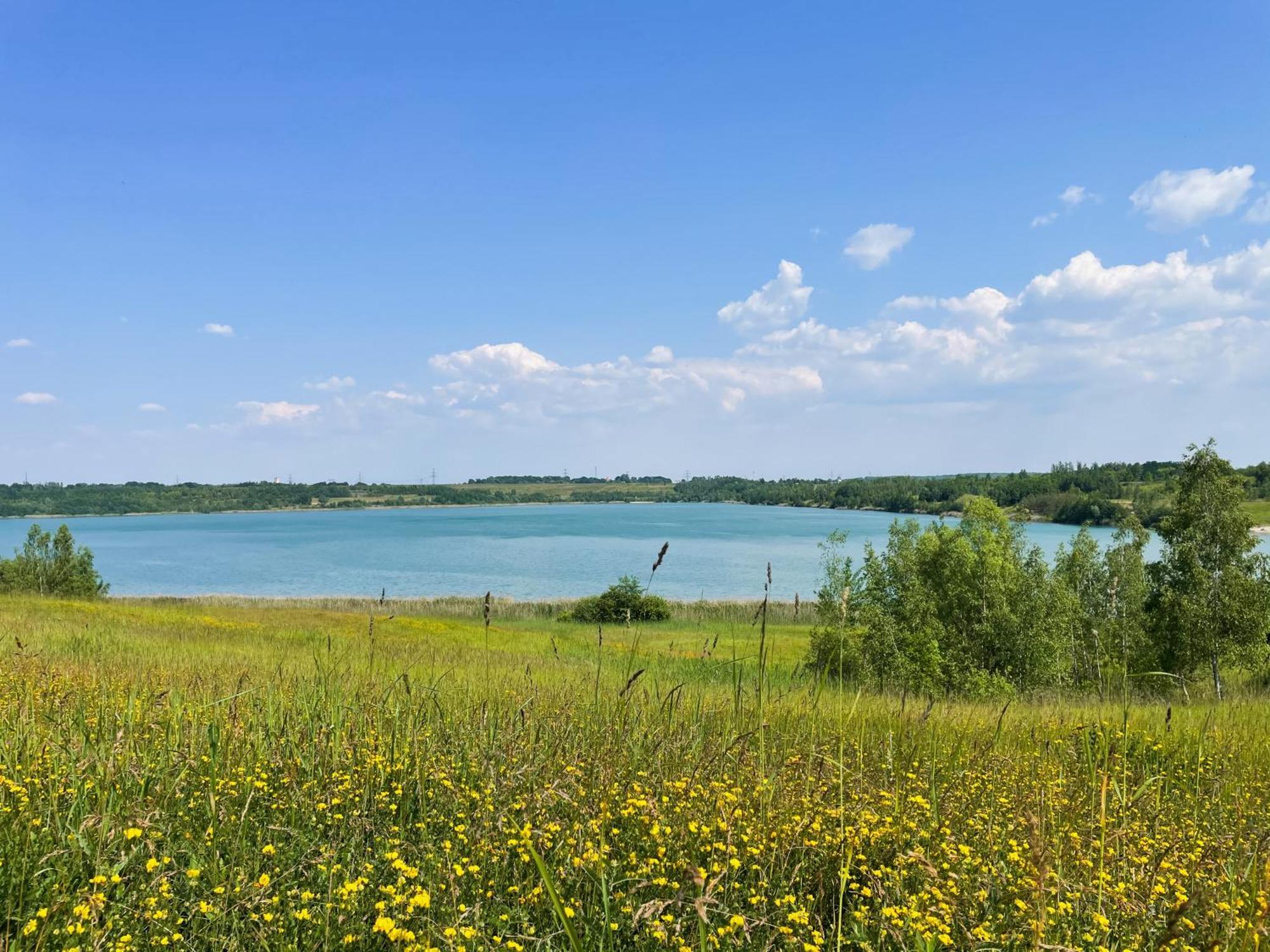 Haus Im Schilf 2 - Ferienwohnungen Am Hainer See Bei Leipzig Neukieritzsch Exterior foto